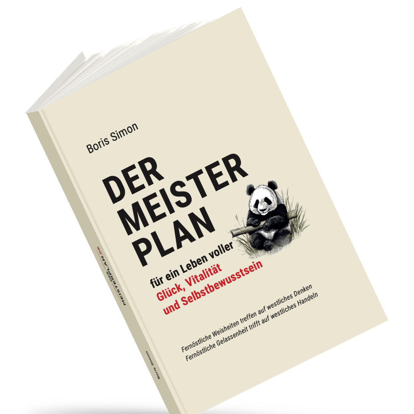 The Master Plan – Book for Self-Reflection