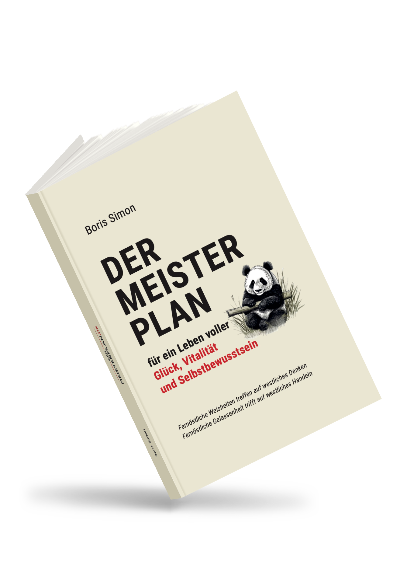 Der Meisterplan – Buch zur Selbstreflexion