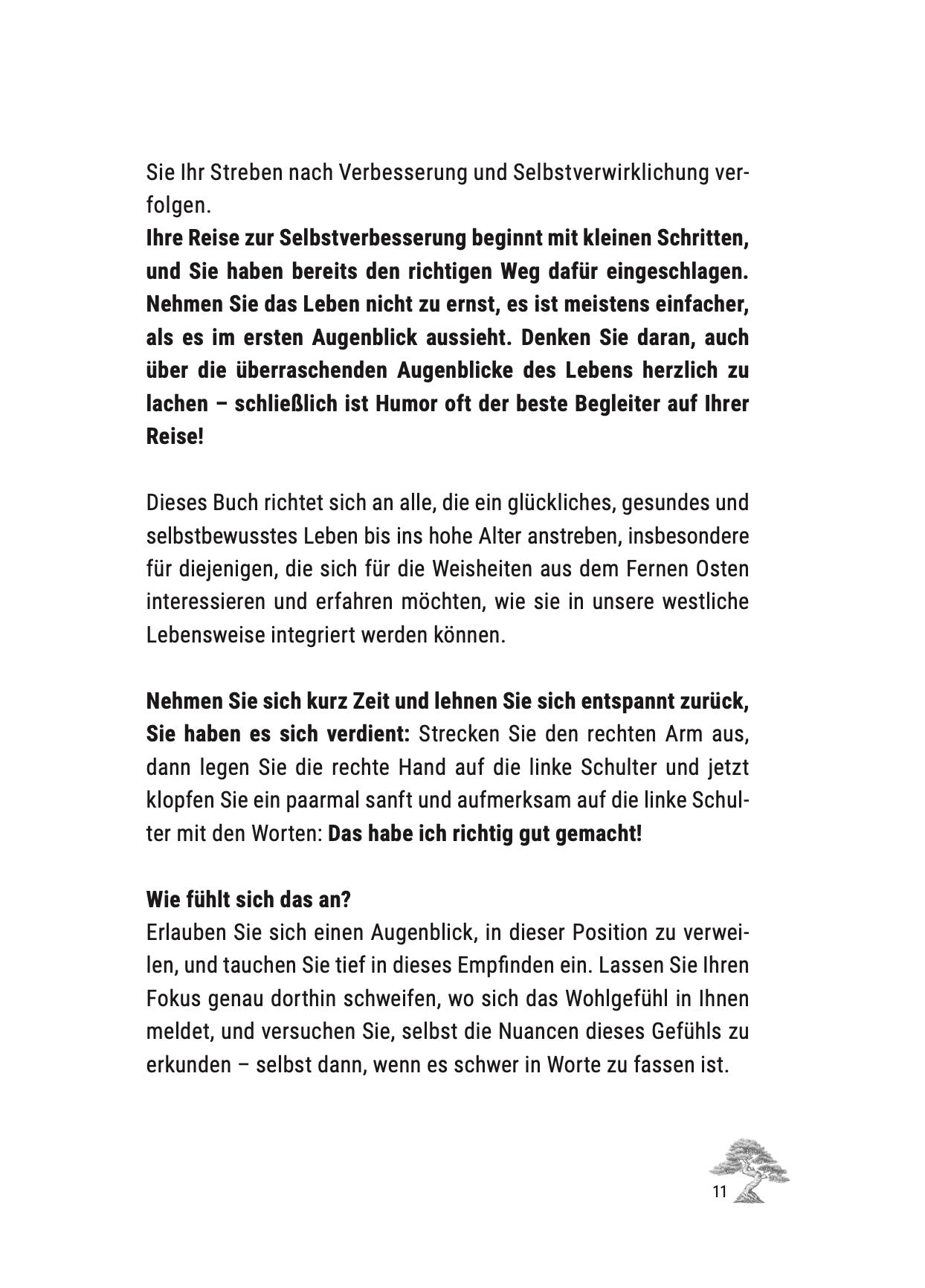 Der Meisterplan – Set zur Selbstreflexion