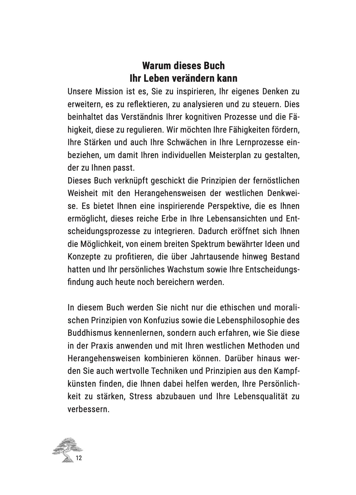 Der Meisterplan – Set zur Selbstreflexion