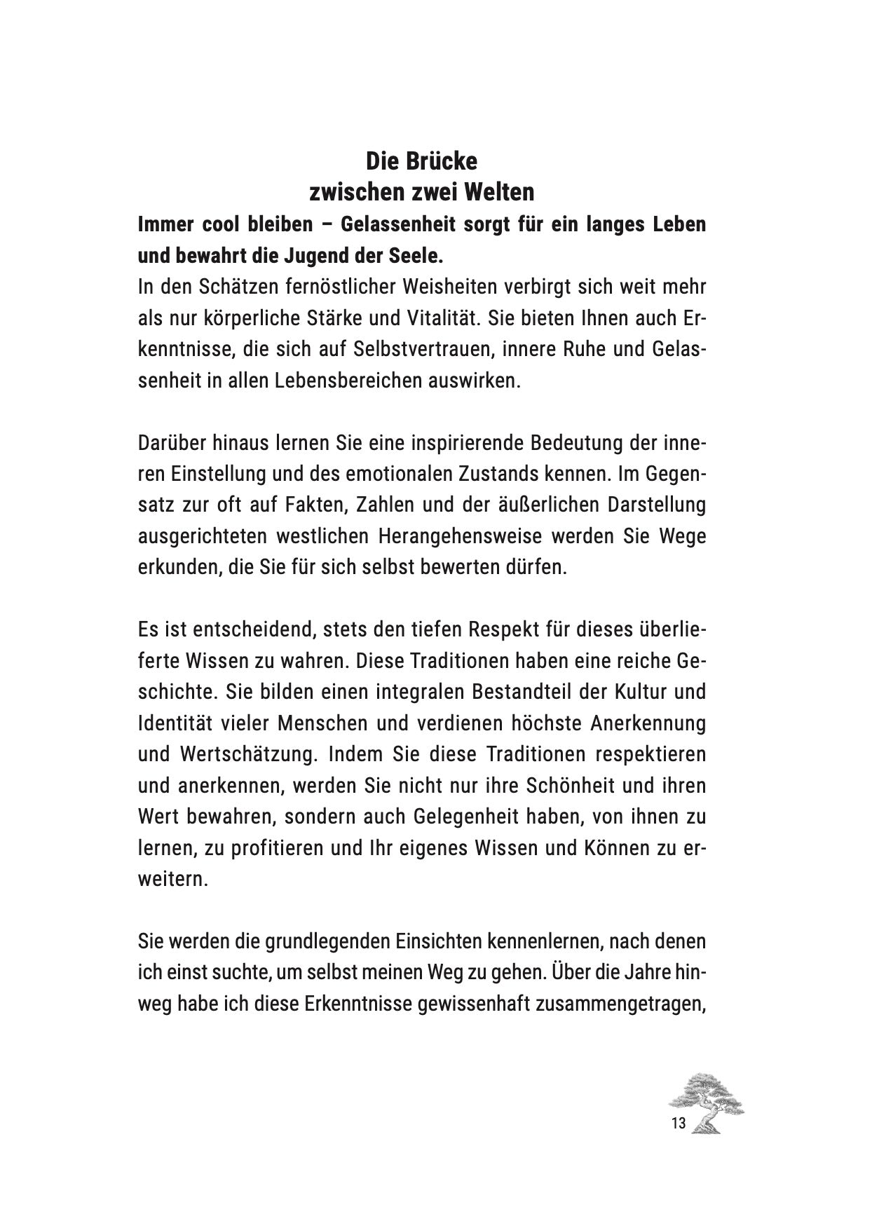 Der Meisterplan – Set zur Selbstreflexion