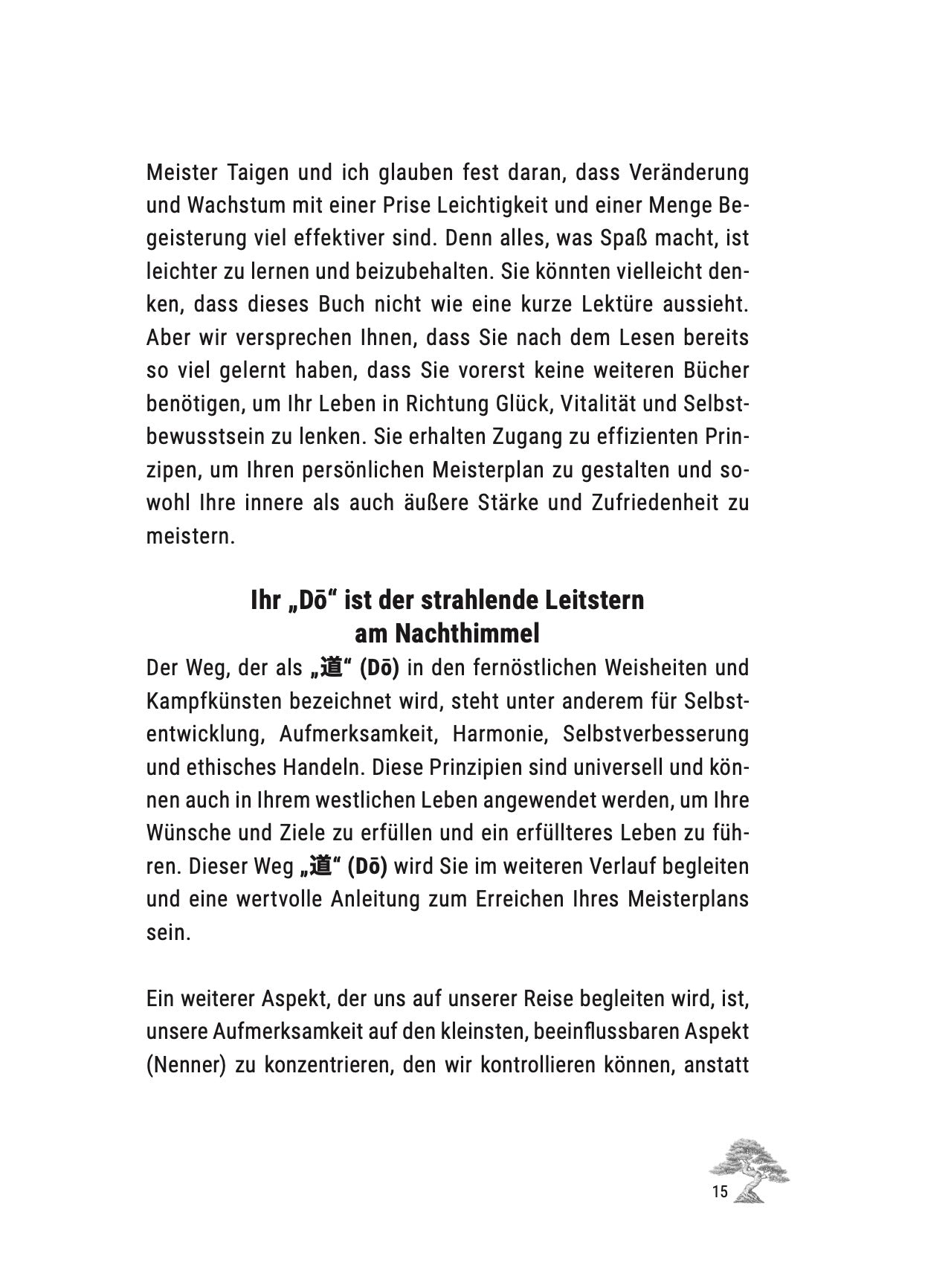 Der Meisterplan – Set zur Selbstreflexion