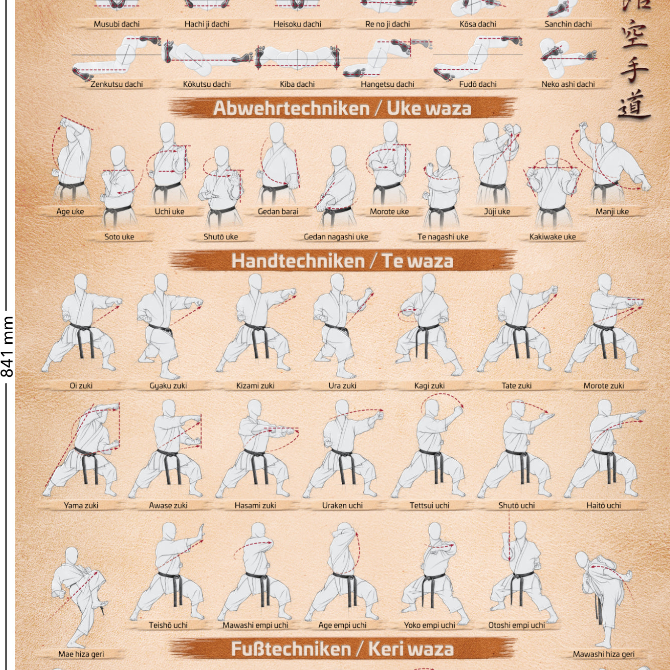 Tecniche di Karate – Poster per tutti i Karateka | DIN A1