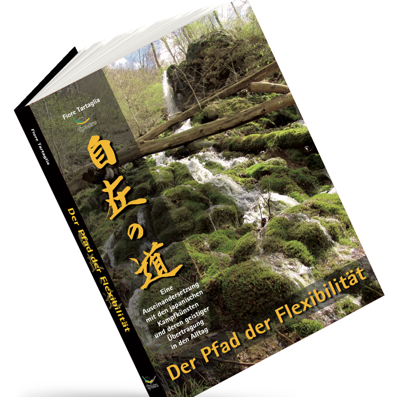 Der Pfad der Flexibilität – Buch für die Kampfkunst im Alltag