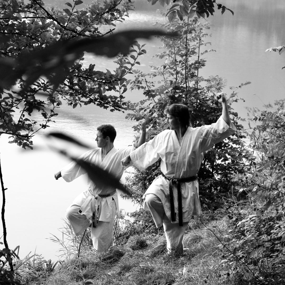 Kata verstehen, nicht nur ausführen – wie du Shotokan Kata wirklich studierst