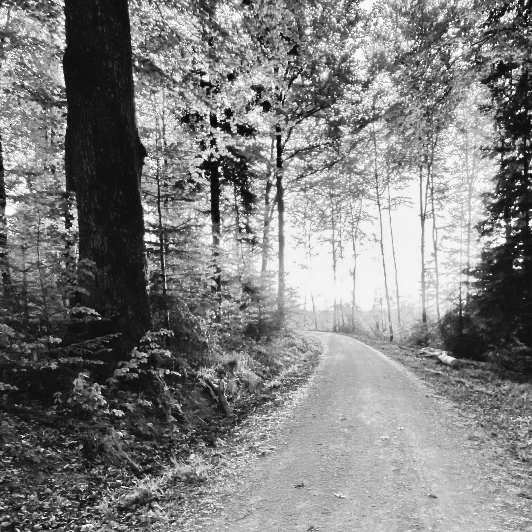 Neues Jahr – neuer Fokus: Karate als Lebensweg im Alltag leben