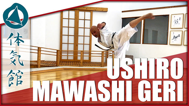 USHIRO MAWASHI GERI