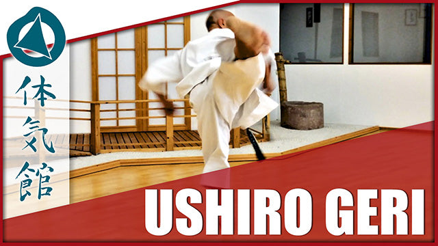 USHIRO GERI