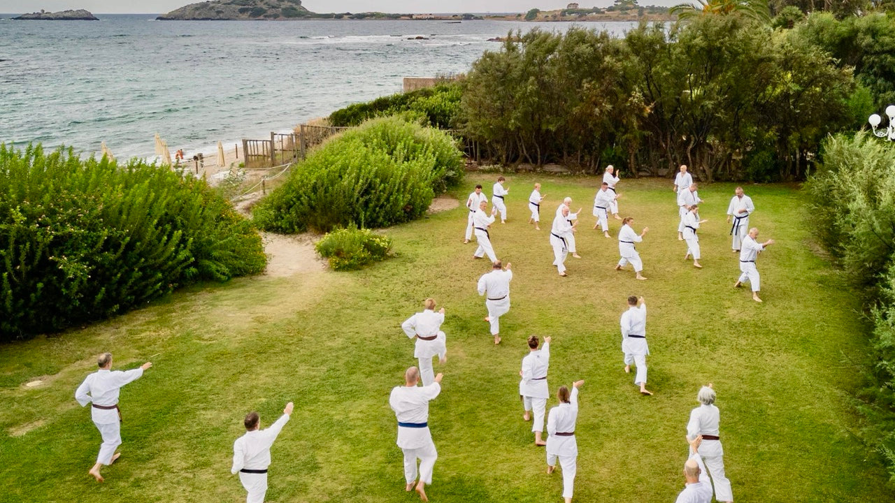 Carica video: Ritiro di Karate FT 2025