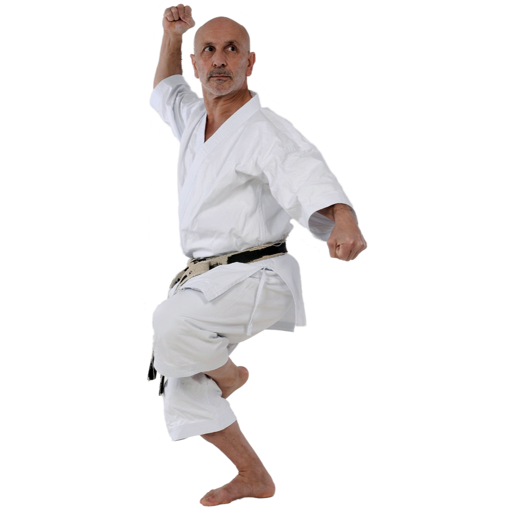 KarateStil & Lebensweg FTKARATE