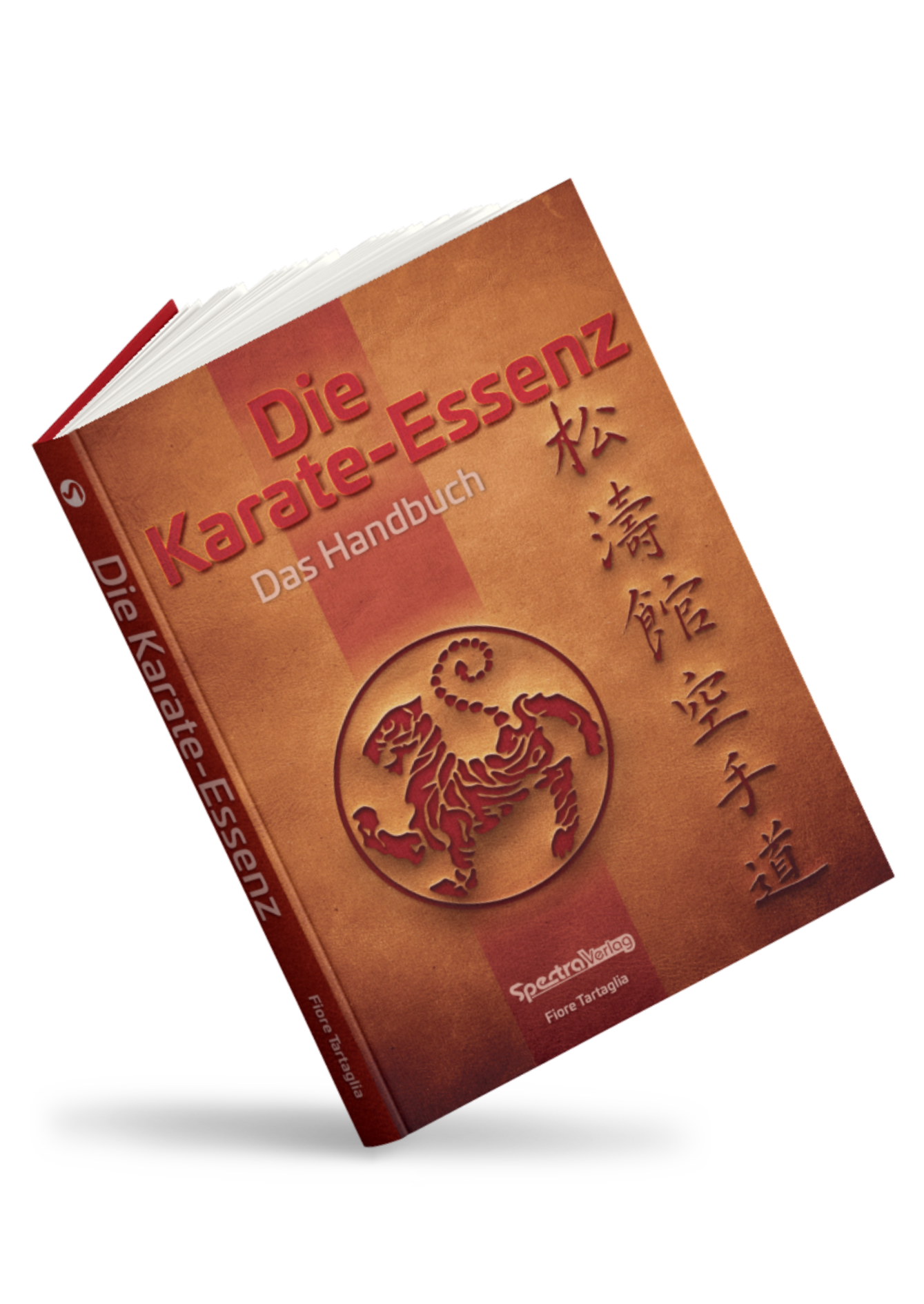 🇩🇪 Buch | Die Karate-Essenz | B-Waren Sale