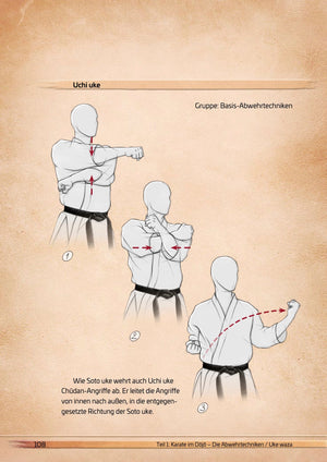 🇩🇪 Buch | Die Karate-Essenz | B-Waren Sale