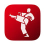 Shotokan Karate Kata – App for all karateka