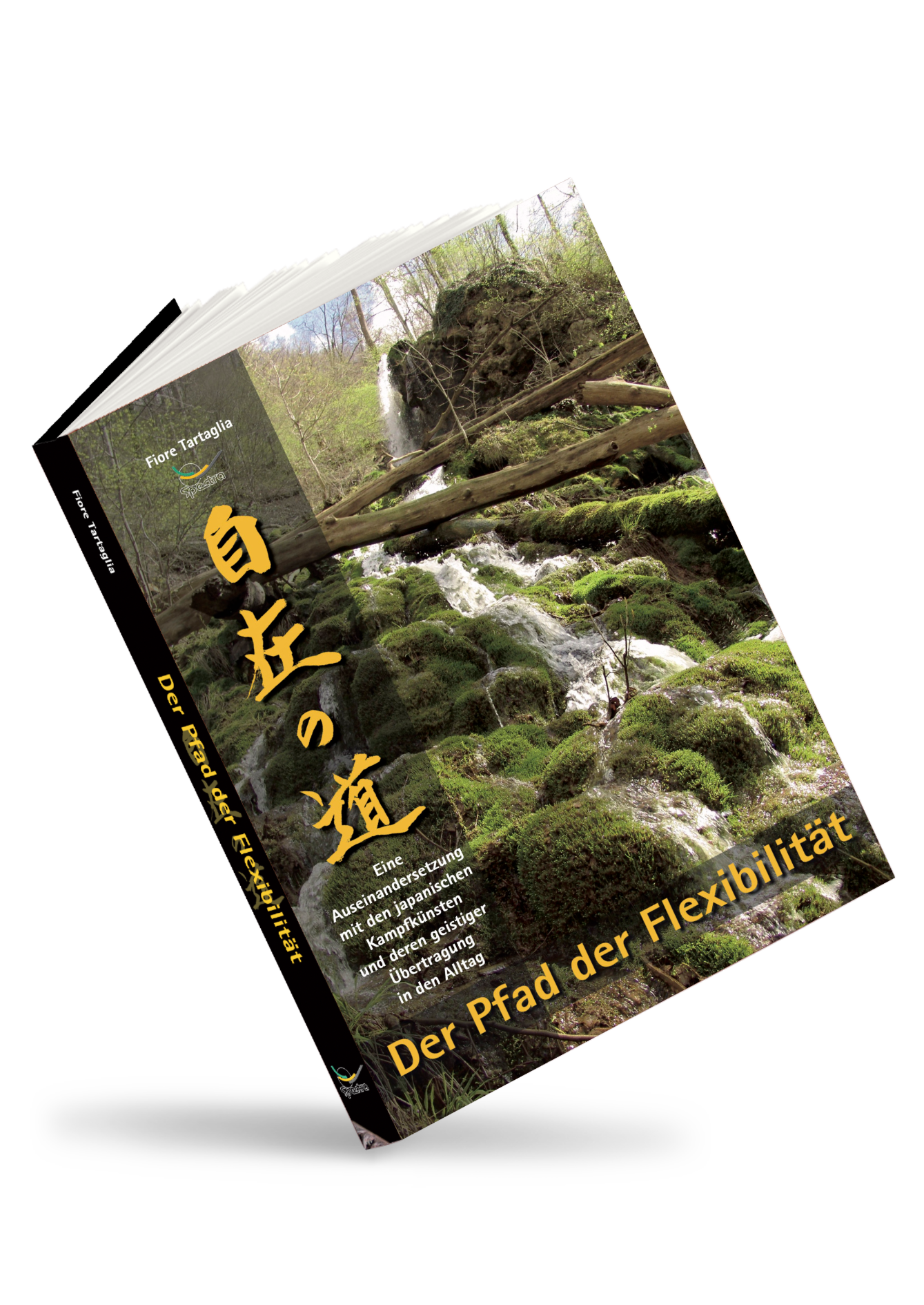 🇩🇪 Book | The path of flexibility