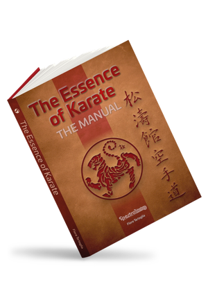 🇬🇧 Buch | Die Karate-Essenz