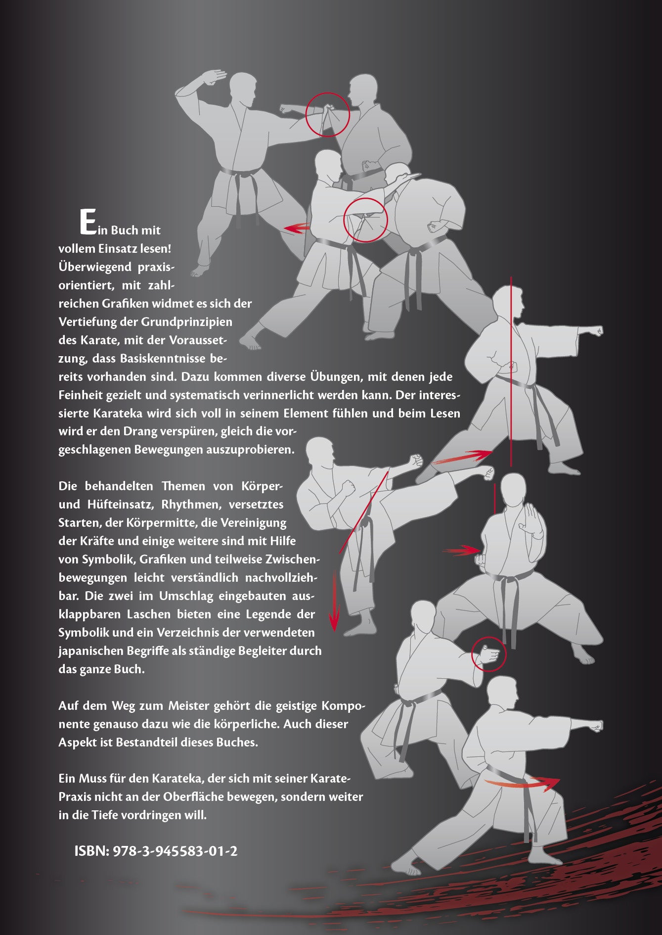 From Black Belt to Master – Book for Dan Grades